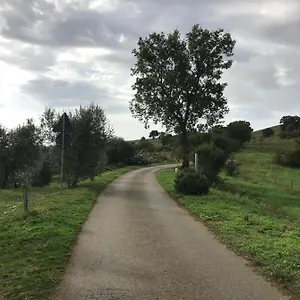 Podere Pini Casa vacanze Magliano in Toscana